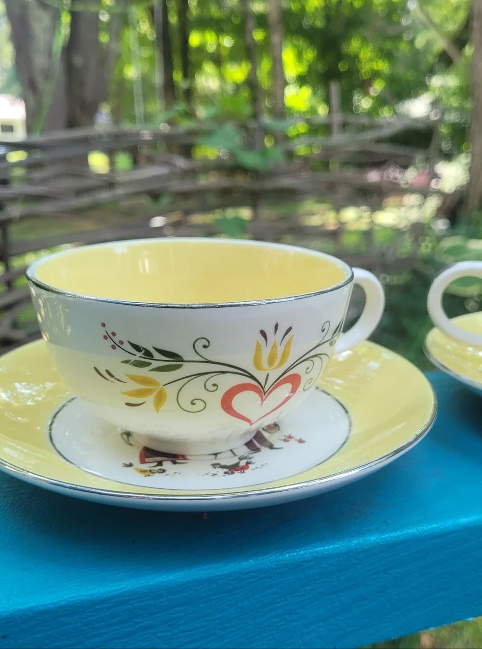 Dutch Farmer Tea Cups & Saucer Plate Set Farmhouse Farmers Wife Cottagecore